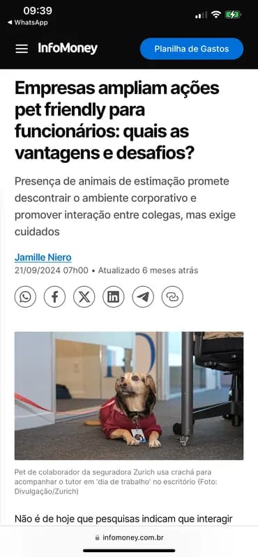 Notícia InfoMoney