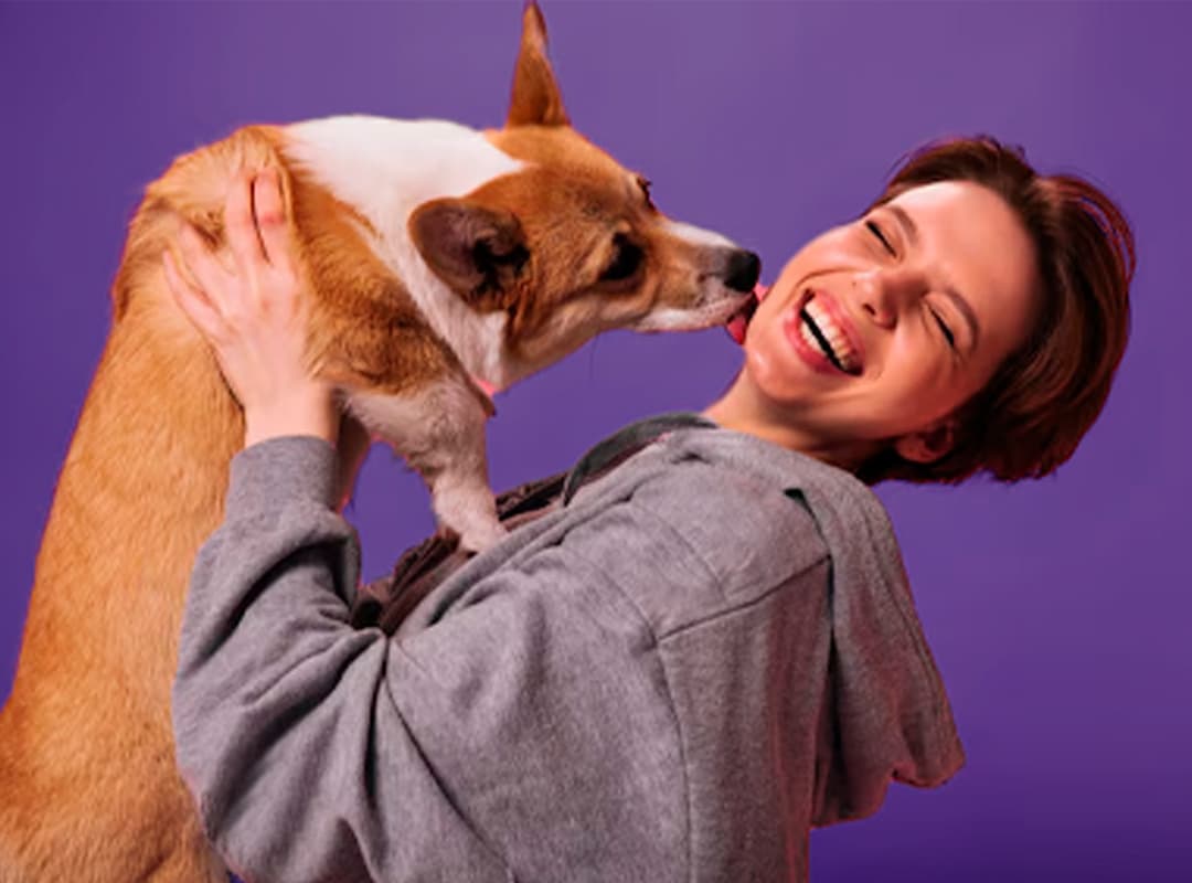 Pet Friendly Company