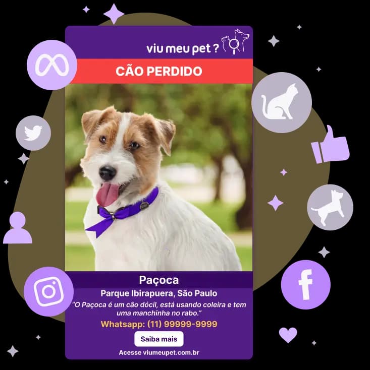 DESCASO COM A VIDA ANIMAL - Empire Pet - Reclame Aqui