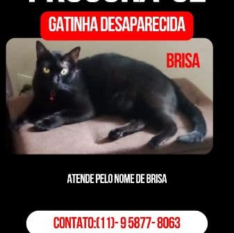 Foto de Brisa