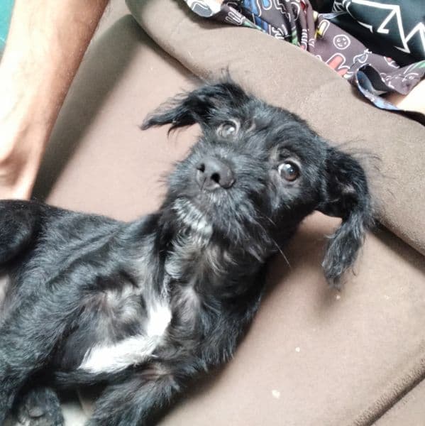 Foto de Pitter Parker