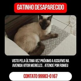 Foto de Romeu